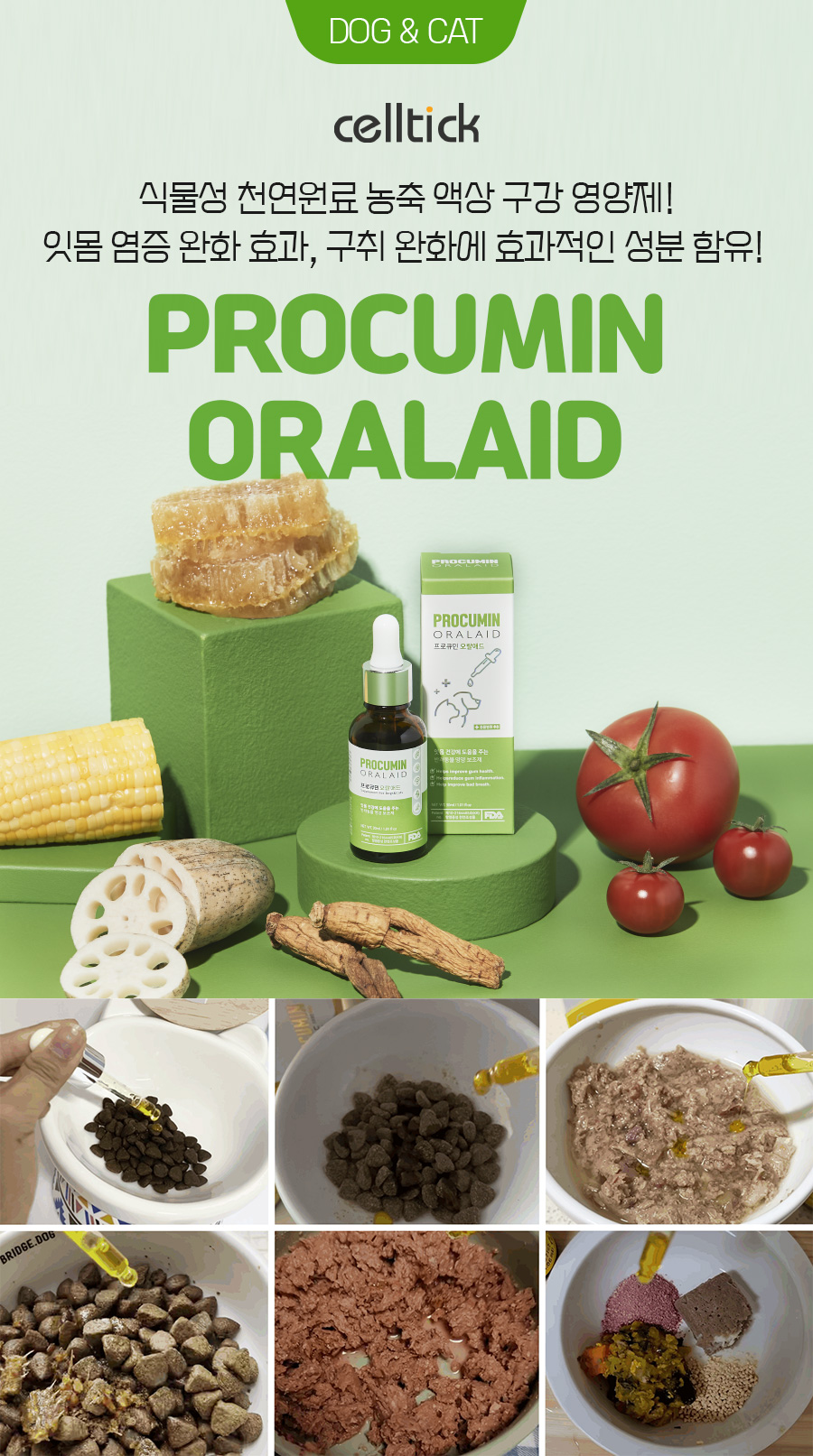 oralaid_02.jpg