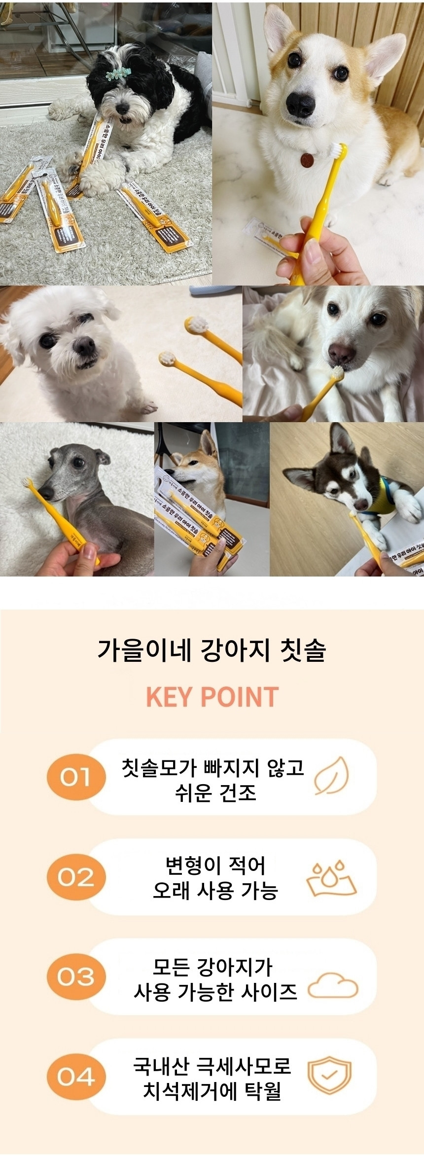 KakaoTalk_20240827_105408150.jpg