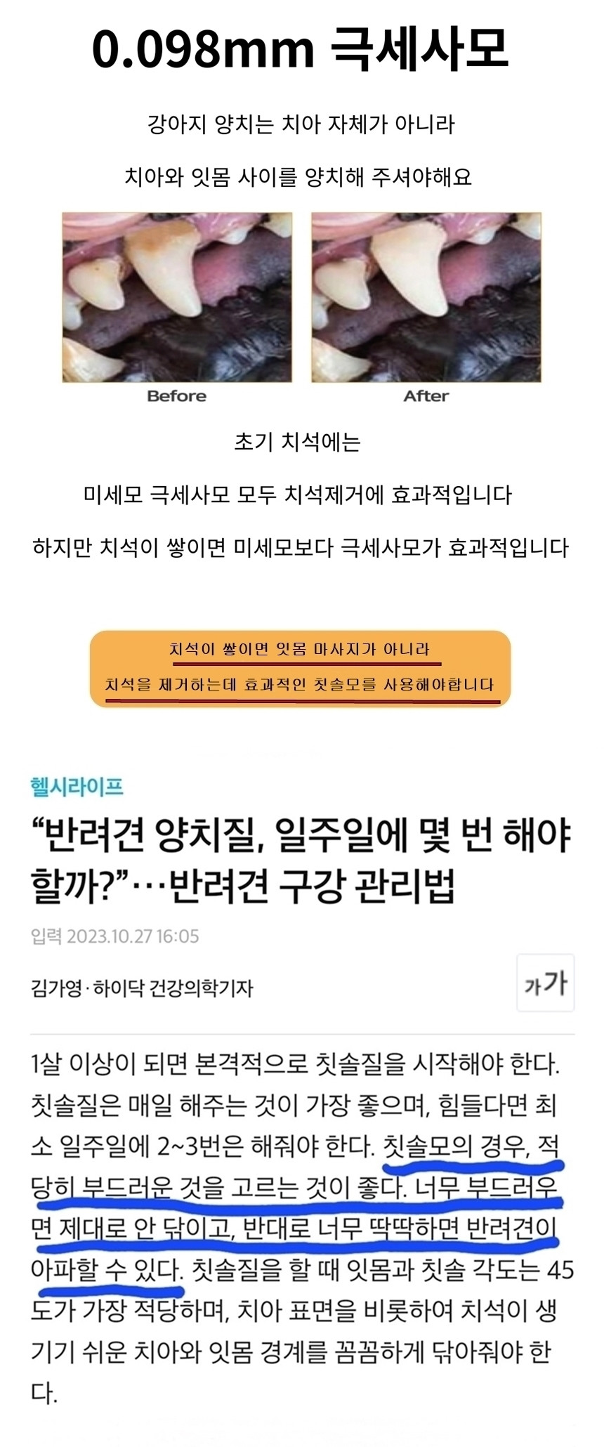 KakaoTalk_20240827_105632955.jpg