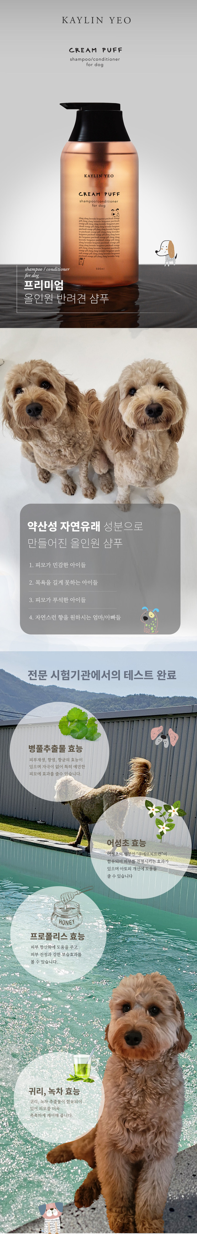 KakaoTalk_20240828_150228642.jpg