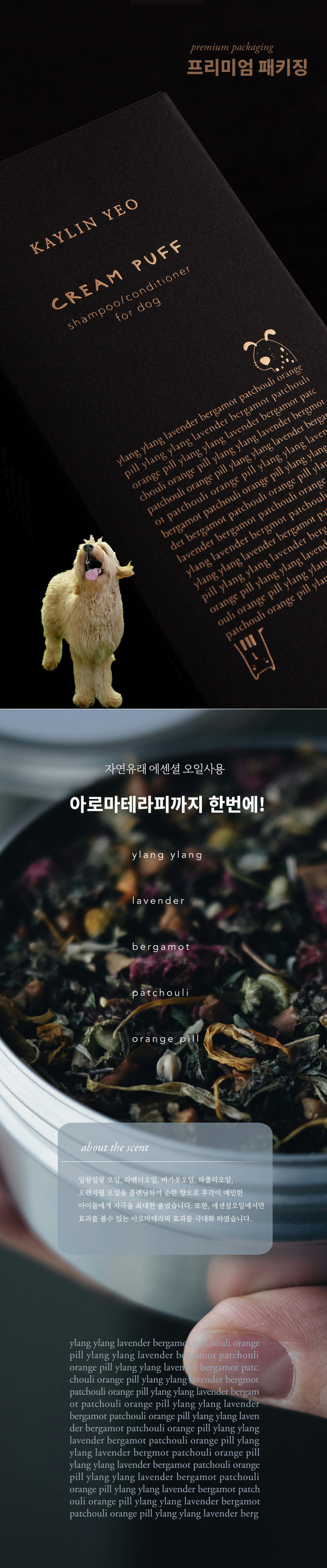KakaoTalk_20240828_150300923.jpg