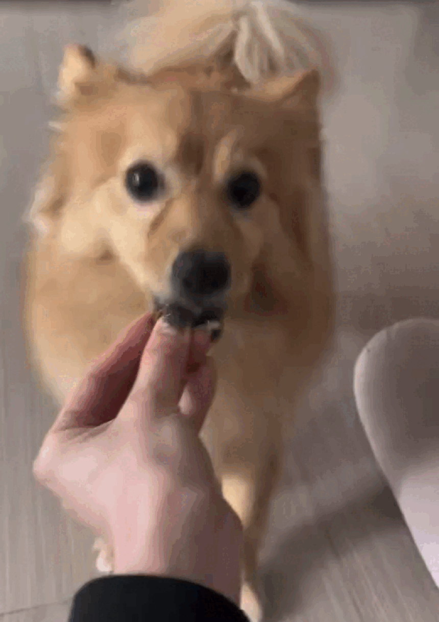 KakaoTalk_20241022_142134307.gif