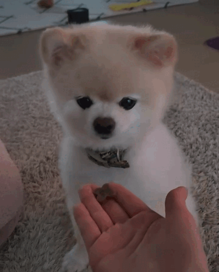KakaoTalk_20241022_142236780.gif