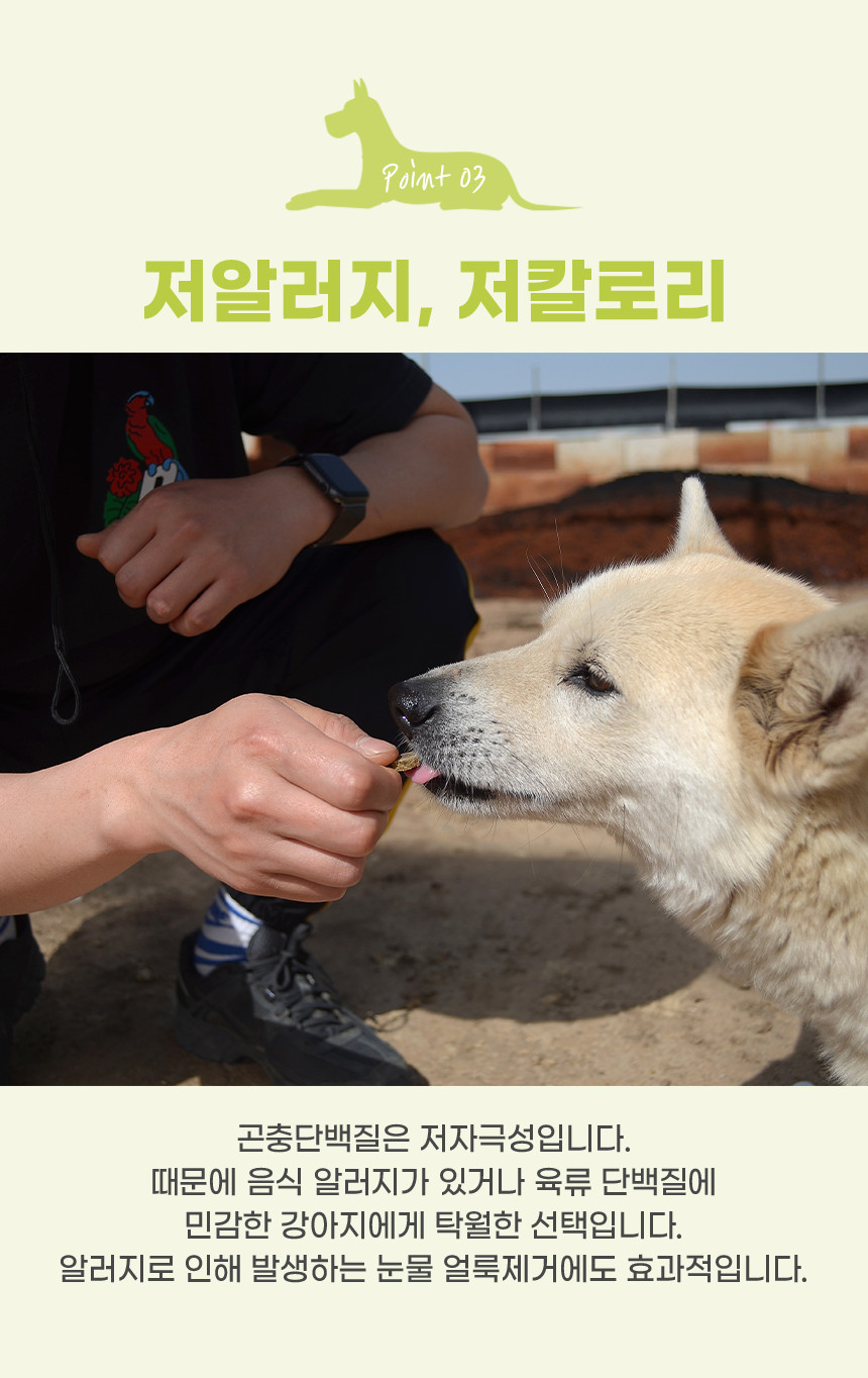 KakaoTalk_20241022_142221403.jpg