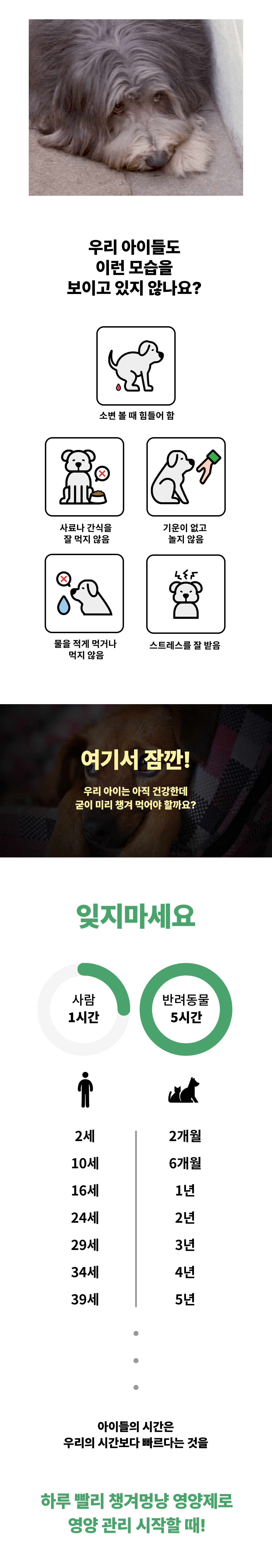 02_이런-모습을-보이고-있지-않나요.jpg