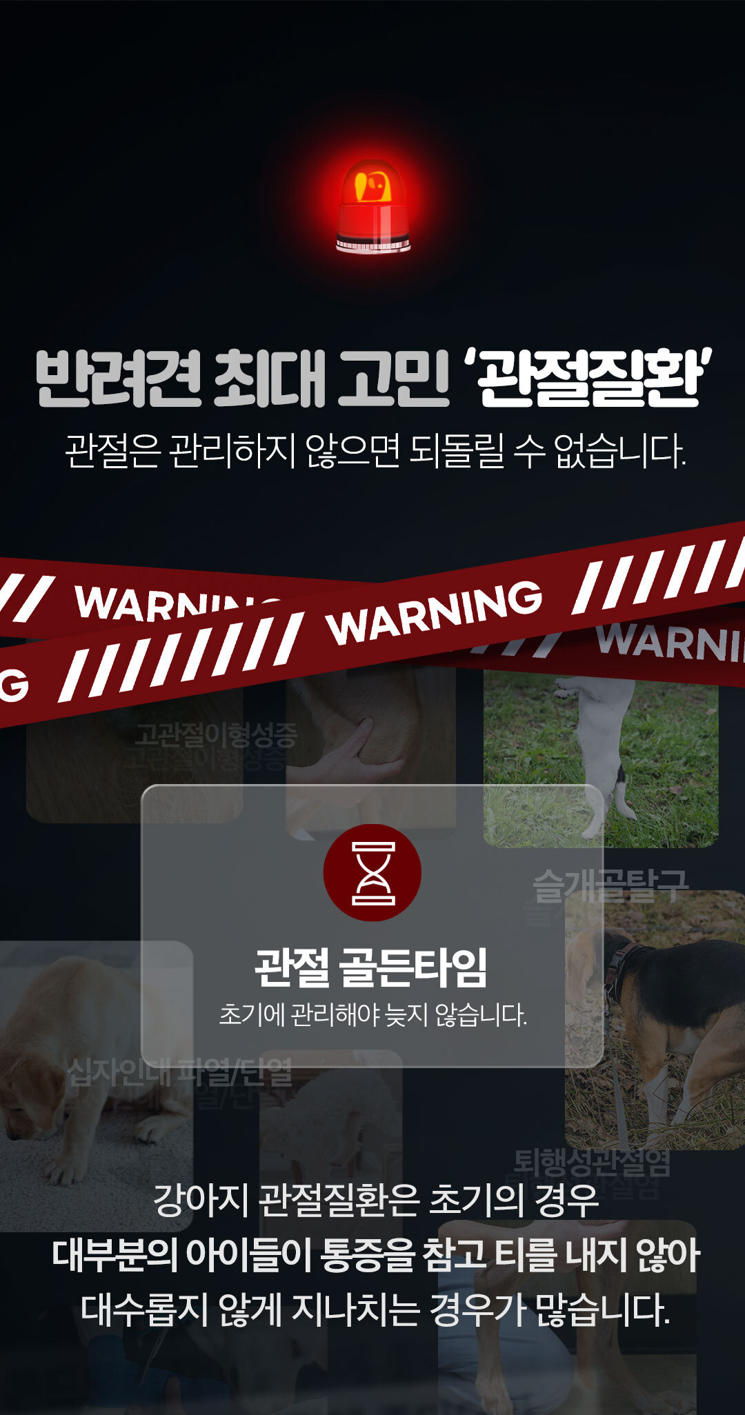 allinjump_detail06.jpg