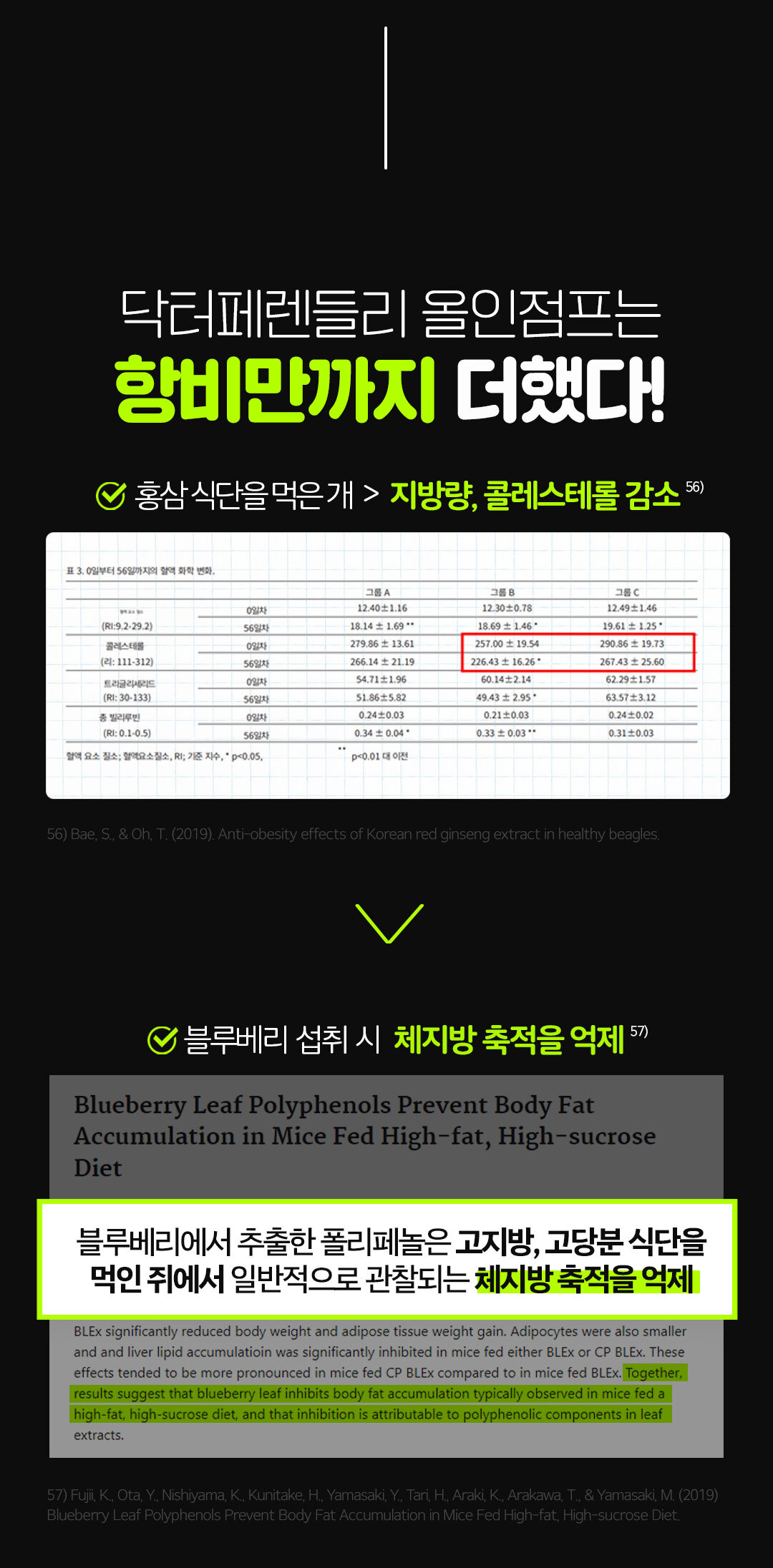 allinjump_detail32.jpg