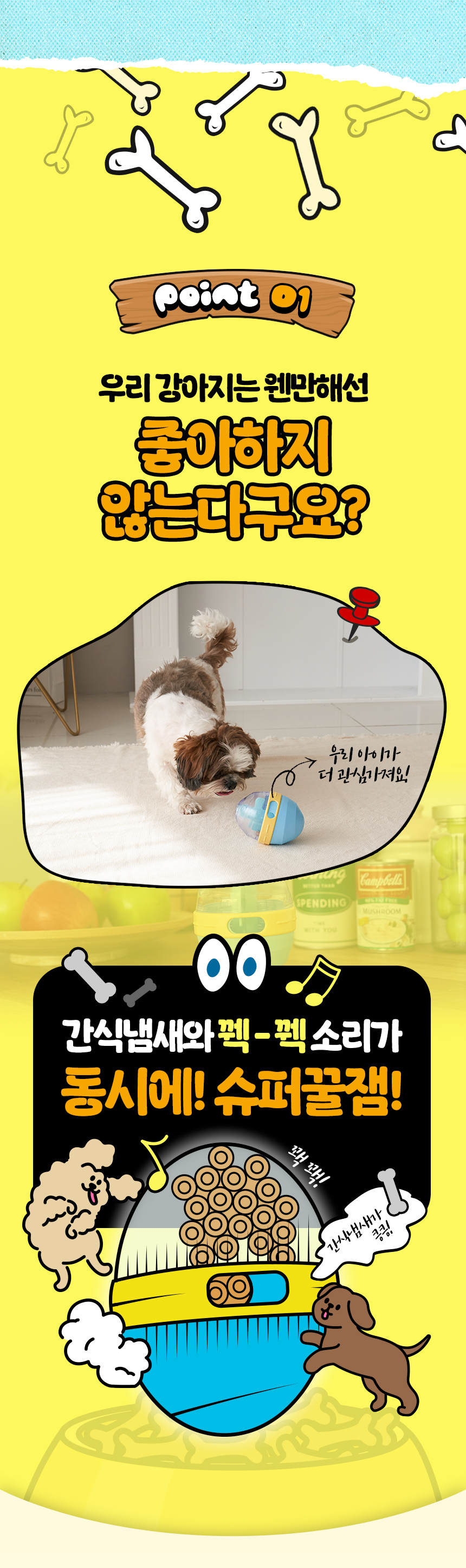 1 포인트1 꿀잼 호기심.jpg
