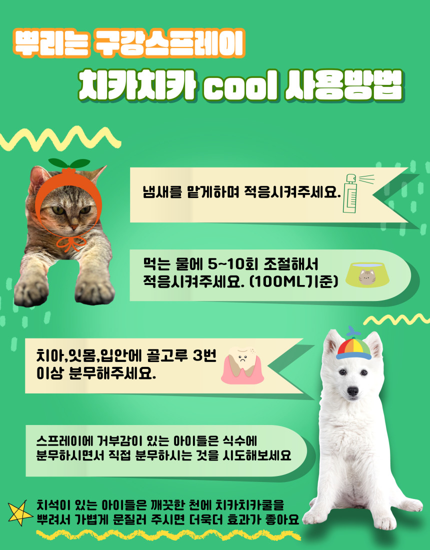 KakaoTalk_20250521_161659386.jpg