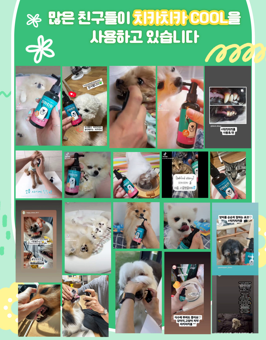 KakaoTalk_20250521_161714414.jpg