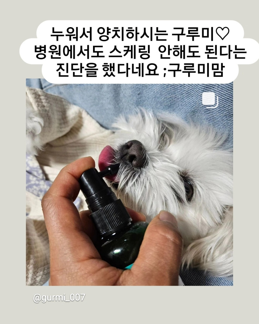 KakaoTalk_20250521_161837057.jpg