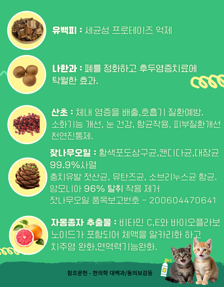 KakaoTalk_20250521_161709515.jpg