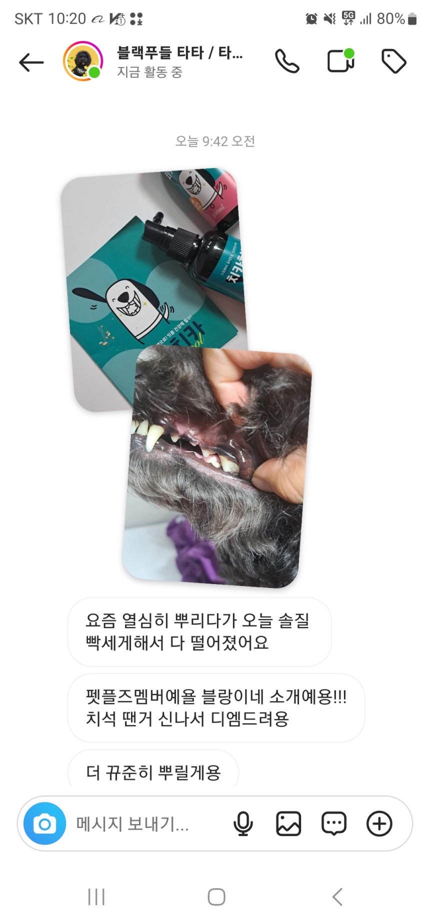 KakaoTalk_20250521_161846220.jpg