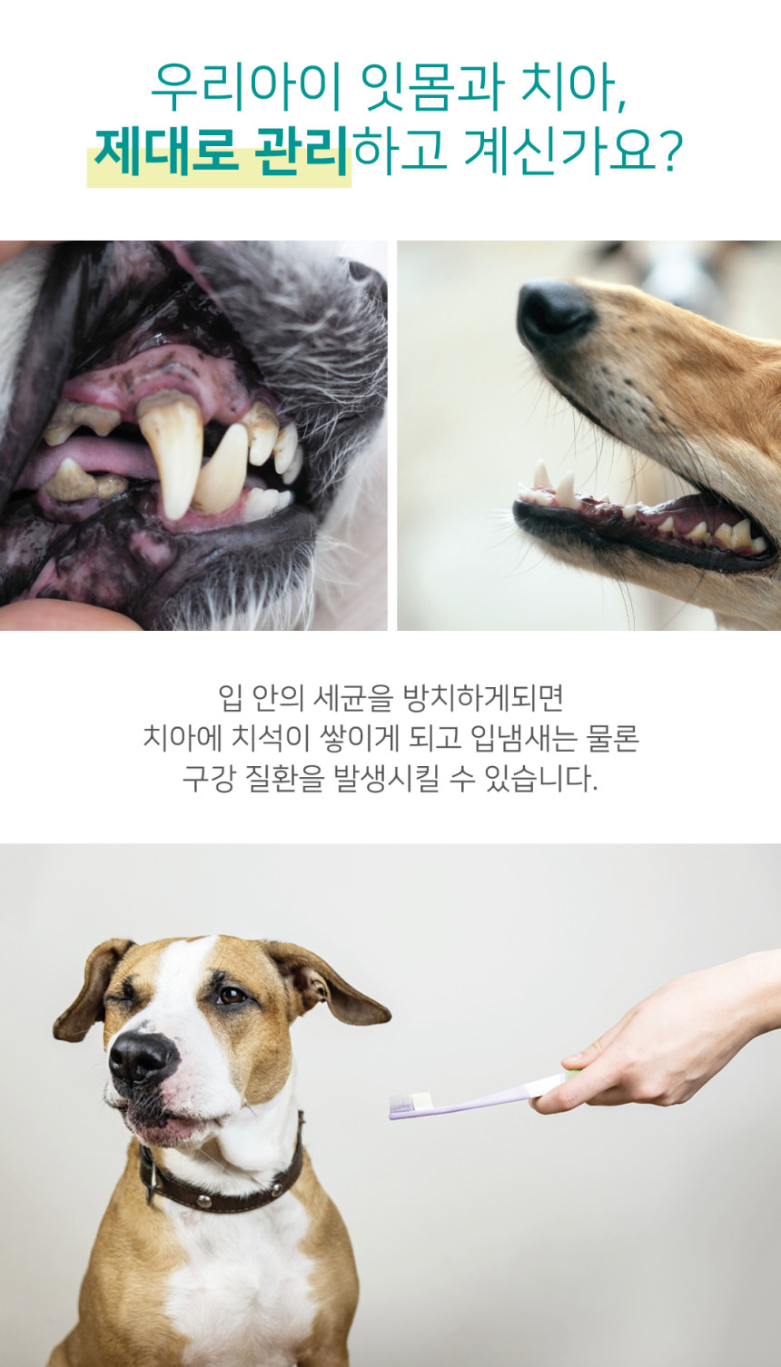 KakaoTalk_20250521_161850499.jpg