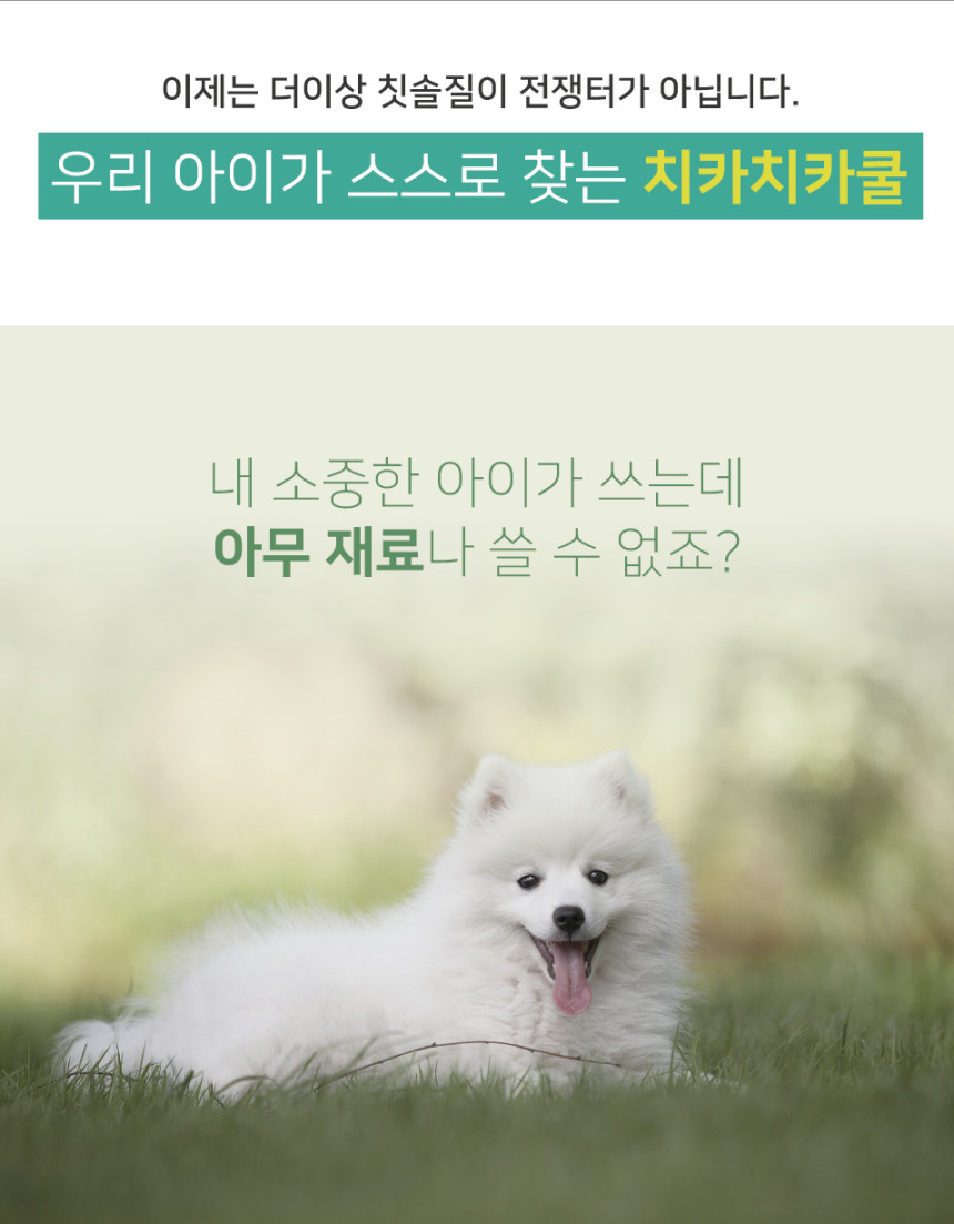 KakaoTalk_20250521_161900697.jpg