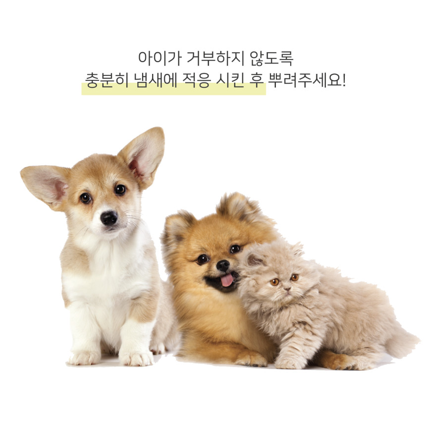 KakaoTalk_20250521_161922424.jpg