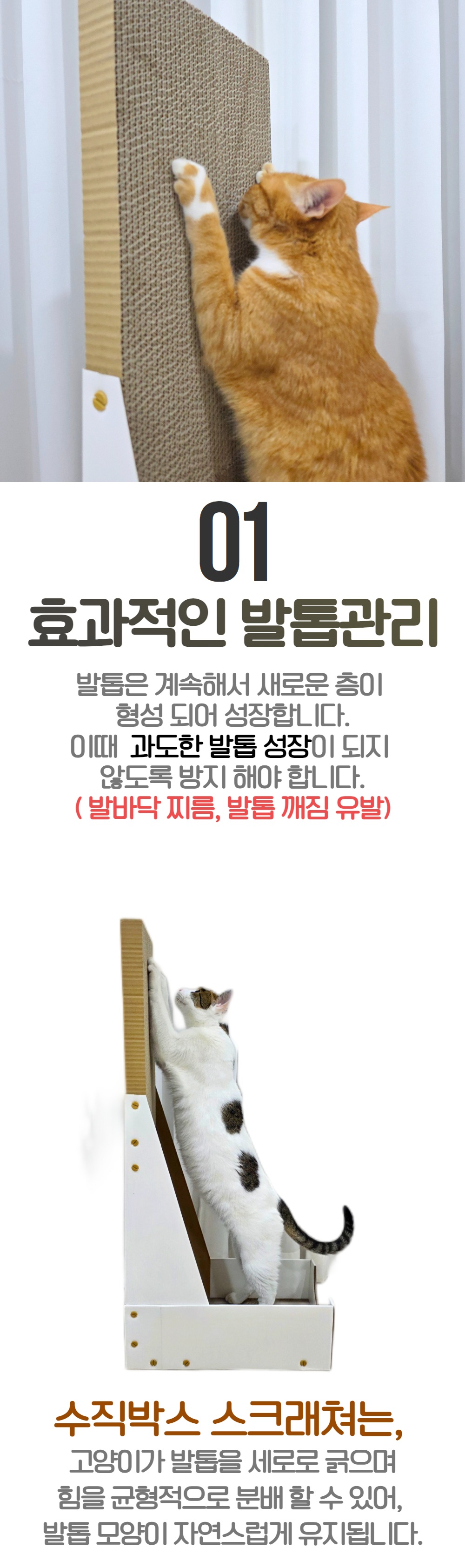 수직 박스 스크래쳐 네이버 12.jpg
